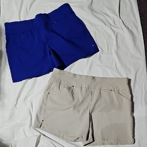 2 pair - ALFANI Blue and Tan Women's Shorts